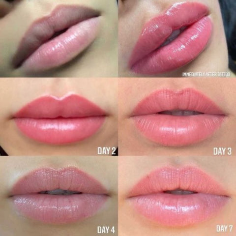 Lip Blushing Session with One Touch Up