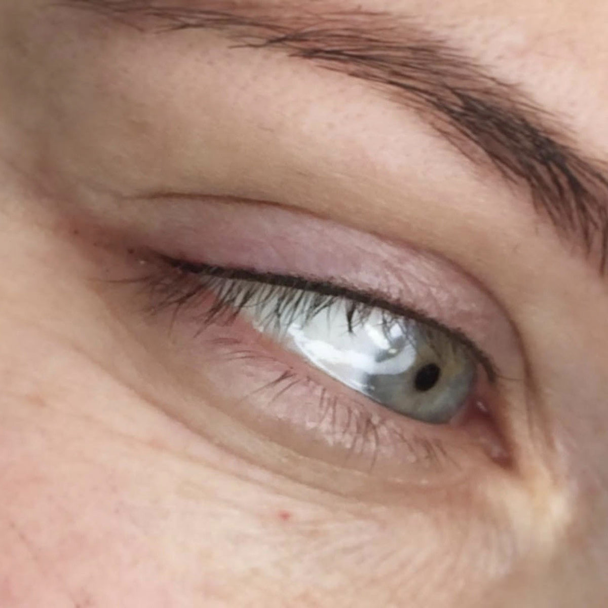 Lash Line Session: Upper Eyeliner Only with One-Touch Up