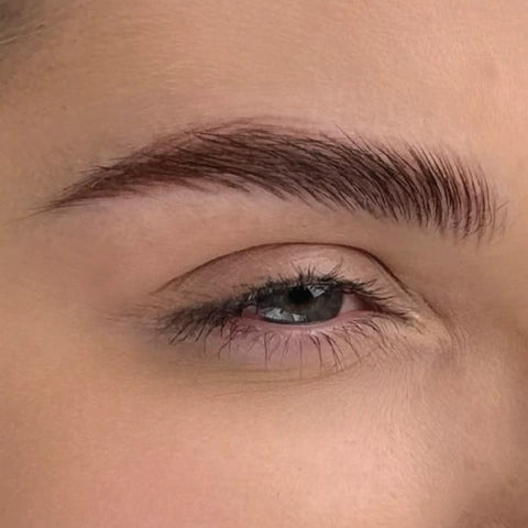 Nano Brows with One Touch Up
